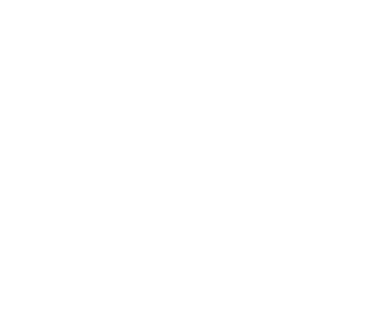 Vertex France